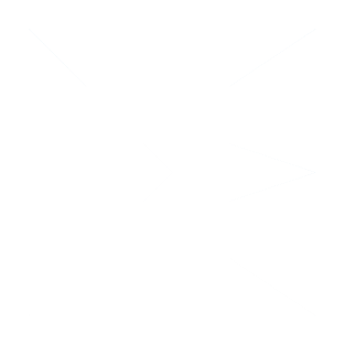 electronee logo